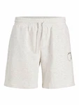 JACK & JONES Shorts weimeliert