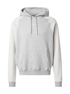 HOLLISTER Sweatshirt HOLLISTER Sweatshirt