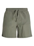 Jack & Jones Shorts JPSTJAIDEN JJSUMMER jade Jack & Jones Shorts JPSTJAIDEN JJSUMMER jade