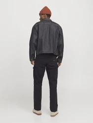 JACK & JONES Hose 'JPSTEDDIE JJCARPENTER' (1-tlg) 