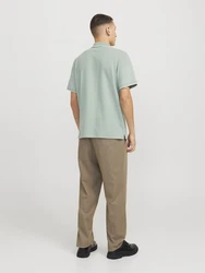 JACK & JONES Poloshirt JJEAUSTIN pastellgrün