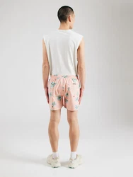 QUIKSILVER Hose 'EVERYDAY' hellblau/petrol/tanne/pfirsich