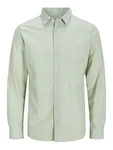Jack & Jones Plus Hemd 'JJEBREEZE' pastellgrün