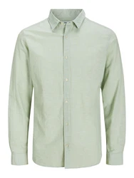 Jack & Jones Plus Hemd 'JJEBREEZE' pastellgrün