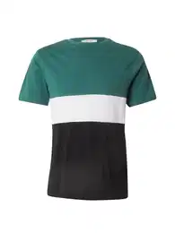 T-Shirt 'Niklas' schilf / schwarz / wei