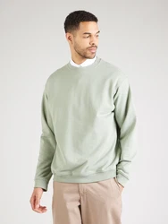 SELECTED HOMME Sweatshirt 'SLHRELAXALBAN' hellgrn