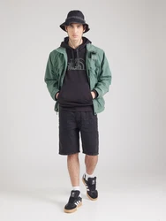 THE NORTH FACE Sweatshirt 'DREW PEAK' Schwarz/Grün (ASW)