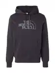 THE NORTH FACE Sweatshirt 'DREW PEAK' Schwarz/Grün (ASW)