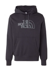 THE NORTH FACE Sweatshirt 'DREW PEAK' Schwarz/Grün (ASW)