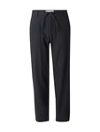 SELECTED HOMME Hose SLH220-BRODY SUN schwarz