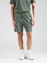 Champion Authentic Athletic Apparel Shorts grün
