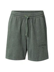 Champion Authentic Athletic Apparel Shorts grün