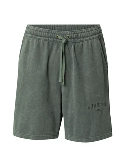 Champion Authentic Athletic Apparel Shorts grün
