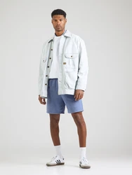 Champion Authentic Athletic Apparel Shorts taubenblau