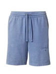 Champion Authentic Athletic Apparel Shorts taubenblau