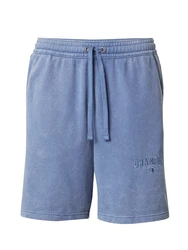 Champion Authentic Athletic Apparel Shorts taubenblau