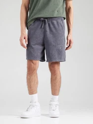 Champion Authentic Athletic Apparel Shorts grau