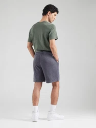 Champion Authentic Athletic Apparel Shorts grau