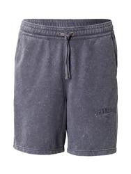 Champion Authentic Athletic Apparel Shorts grau