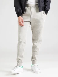 Polo Ralph Lauren Hose grau