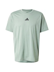 ADIDAS PERFORMANCE Sportshirt Funktionsshirt anthrazit/pastellgrün