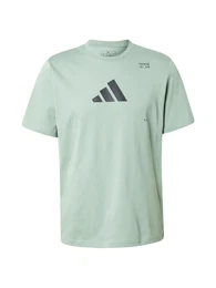 Funktionsshirt anthrazit / pastellgrn