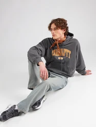 Carhartt WIP Sweatshirt 'Library' dunkelgrau/orange