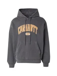 Carhartt WIP Sweatshirt 'Library' dunkelgrau/orange