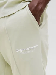 JACK & JONES Shorts 'JPSTKANE VESTERBRO' pastellgrün/weiß