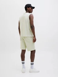JACK & JONES Shorts 'JPSTKANE VESTERBRO' pastellgrün/weiß