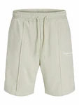 JACK & JONES Shorts 'JPSTKANE VESTERBRO' pastellgrün/weiß