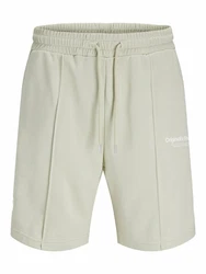JACK & JONES Shorts 'JPSTKANE VESTERBRO' pastellgrün/weiß