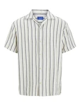 Jack & Jones Plus Hemd JORCOBA navy / pastellgrn / weiß