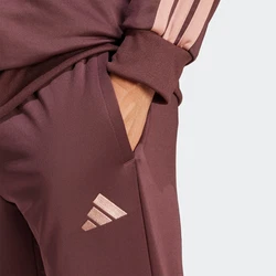 ADIDAS SPORTSWEAR Trainingsanzug altrosa/weinrot