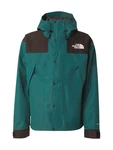 THE NORTH FACE Jacke MOUNTAIN smaragd / schwarz