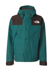 THE NORTH FACE Jacke MOUNTAIN smaragd / schwarz