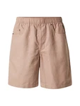 GAP Shorts Stein