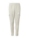 ADIDAS SPORTSWEAR Sporthose 'Tiro' hellgrau/weiß