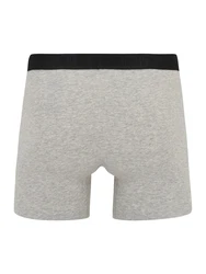 AllSaints Boxershorts BRIEF graumeliert/schwarz