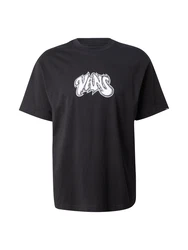 Vans T-Shirt HISSTERIK grau / dunkelgrau / schwarz / weiß (001)