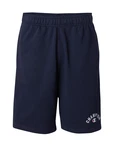 Champion Authentic Athletic Apparel Shorts navy/rot/weiß