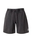 Champion Authentic Athletic Apparel Shorts schwarz/weiß