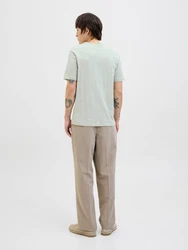 JACK & JONES T-Shirt 'JJBlunixs' mint