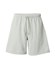 Champion Authentic Athletic Apparel Shorts pastellgrün/weiß