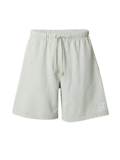 Champion Authentic Athletic Apparel Shorts