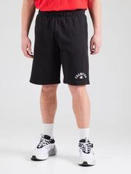 Champion Authentic Athletic Apparel Shorts schwarz