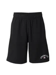 Champion Authentic Athletic Apparel Shorts schwarz