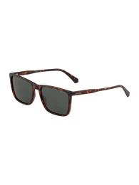 Sonnenbrille braun / cognac