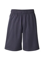 Champion Authentic Athletic Apparel Shorts aubergine