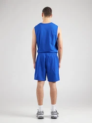 Champion Authentic Athletic Apparel Shorts blau/rot/weiß